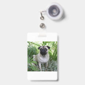 Mops Ausweis (Vorderseite mit Ausziehbar)