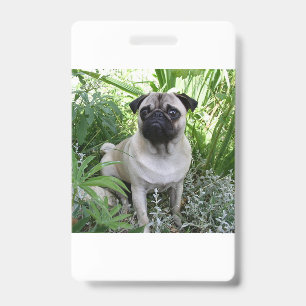 Mops Ausweis