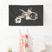 Mops banner (Insitu)