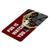 Mops beobachtet magnet (Linke Seite)