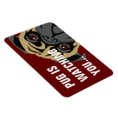 Mops beobachtet magnet (Rechte Seite)