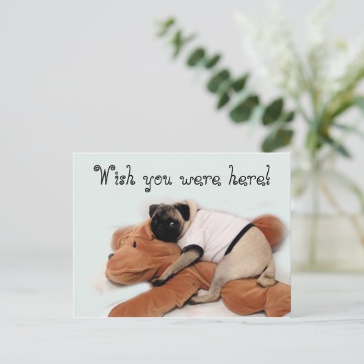 Mops Blues Postkarte (Stehend Vorderseite)