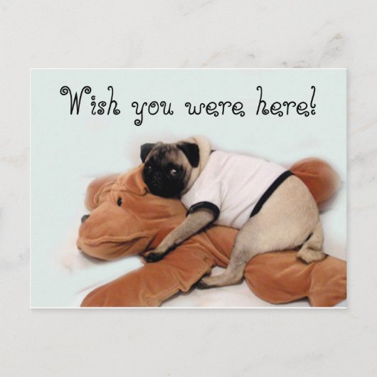 Mops Blues Postkarte (Vorderseite)