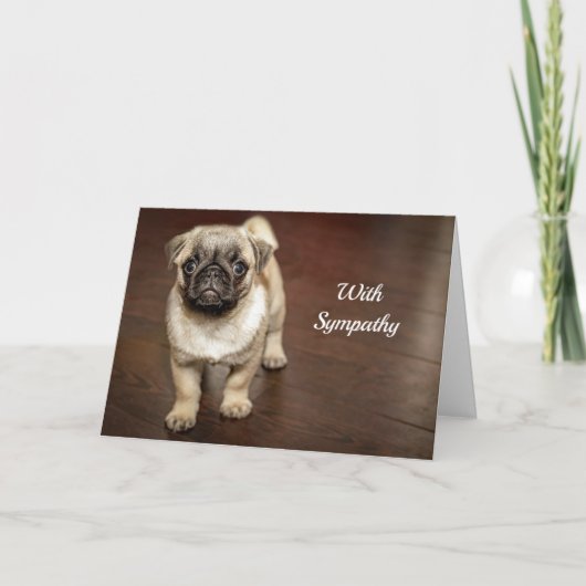 Mops Brown Dog Foto Beileid Karte (Vorderseite)