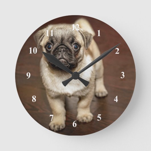 Mops Brown Dog Foto Runde Wanduhr (Vorderseite)