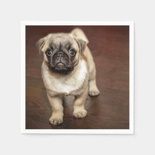 Mops Brown Dog Foto Serviette (Vorderseite)