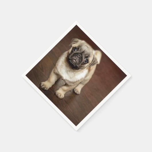 Mops Brown Dog Foto Serviette (Ecke)