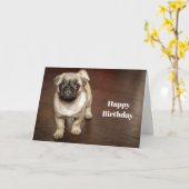 Mops Brown Hund Foto Geburtstag Karte (Gelbe Blume)