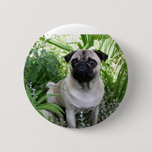 Mops Button