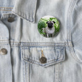 Mops Button (Beispiel)