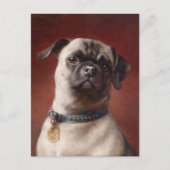 Mops | Carl Reichert Postkarte (Vorderseite)