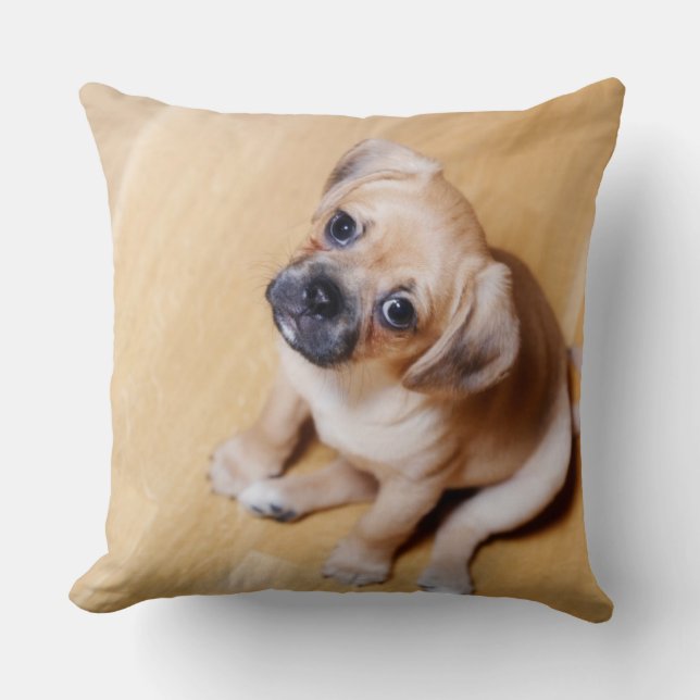 Mops Cross Cavalier King Charles Spaniel Kissen (Vorderseite)