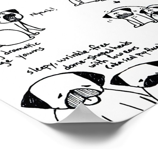 Mops Curwenige Poster (Ecke)