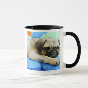 Mops, der auf Kissen legt Tasse