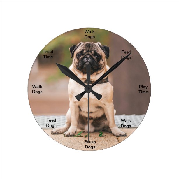 Mops Wanduhren Zazzle.de