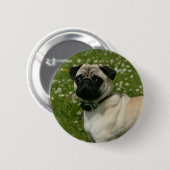 Mops, der in den Blumen spielt Button (Vorne & Hinten)