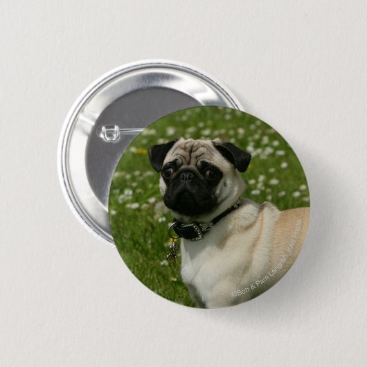 Mops, der in den Blumen spielt Button (Vorne & Hinten)