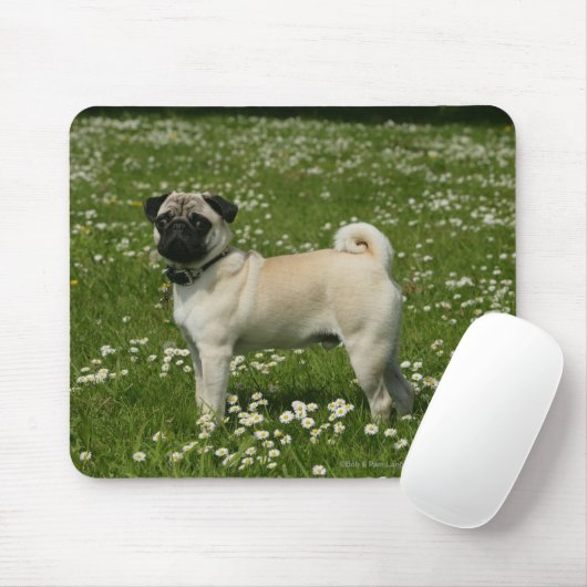 Mops, der in den Blumen spielt Mousepad (Mit Mouse)