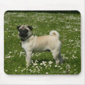 Mops, der in den Blumen spielt Mousepad (Vorne)