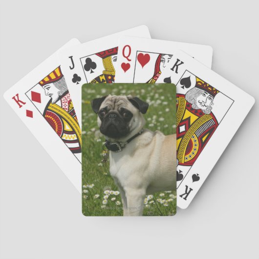 Mops, der in den Blumen spielt Spielkarten (Rückseite)