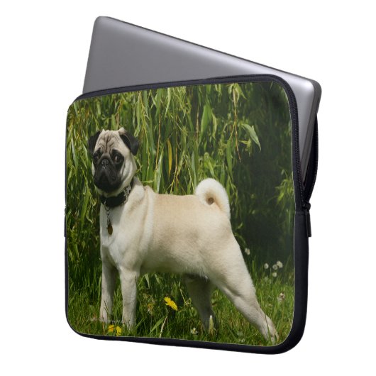 Mops, der Kamera betrachtet Laptopschutzhülle (Vorderseite Links)