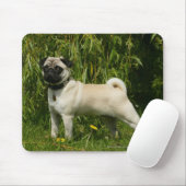 Mops, der Kamera betrachtet Mousepad (Mit Mouse)