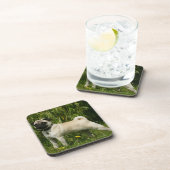 Mops, der Kamera betrachtet Untersetzer (Rechte Seite)