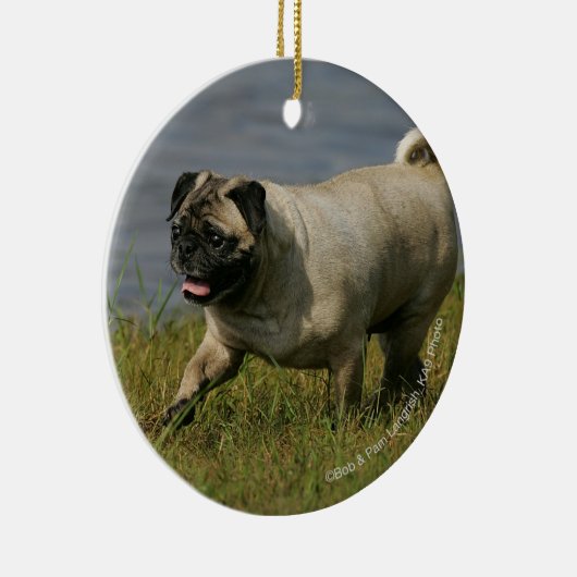 Mops, der nahe Wasser spielt Keramikornament (Rechts)