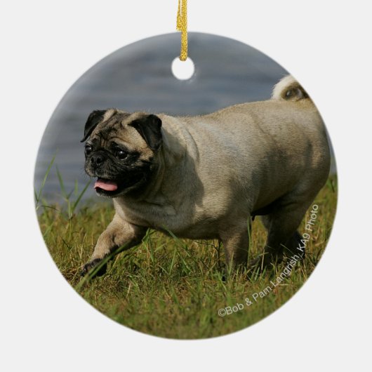 Mops, der nahe Wasser spielt Keramikornament (Hinten)