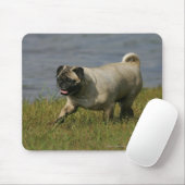 Mops, der nahe Wasser spielt Mousepad (Mit Mouse)