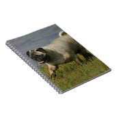 Mops, der nahe Wasser spielt Notizblock (Rechte Seite)