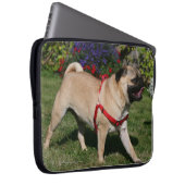 Mops, der rotes Geschirr trägt Laptopschutzhülle (Vorne Rechts)