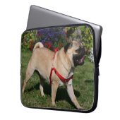 Mops, der rotes Geschirr trägt Laptopschutzhülle (Vorderseite Links)