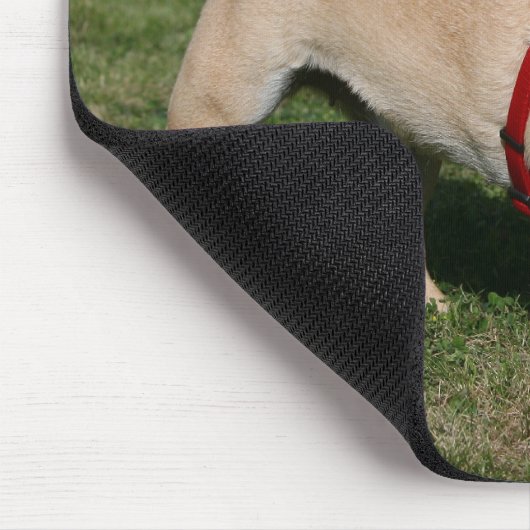 Mops, der rotes Geschirr trägt Mousepad (Ecke)