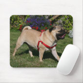 Mops, der rotes Geschirr trägt Mousepad (Mit Mouse)