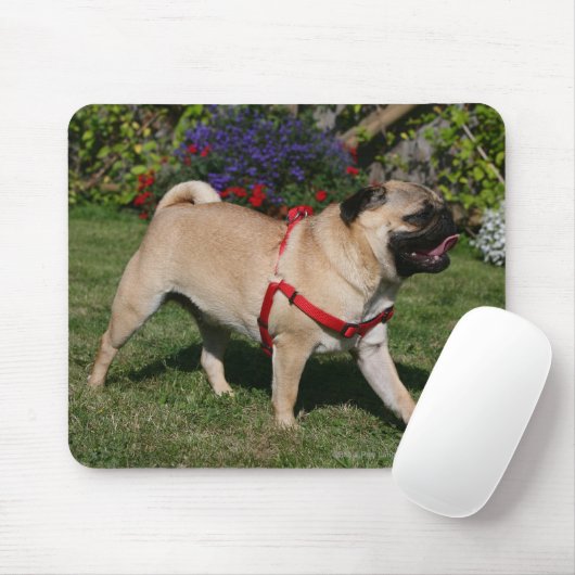 Mops, der rotes Geschirr trägt Mousepad (Mit Mouse)
