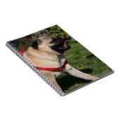 Mops, der rotes Geschirr trägt Notizblock (Rechte Seite)