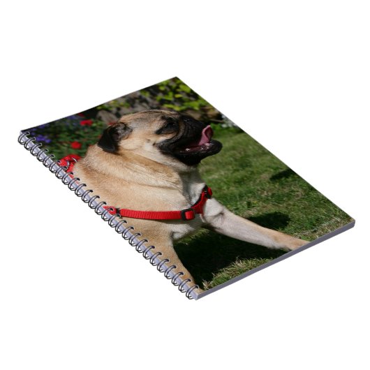 Mops, der rotes Geschirr trägt Notizblock (Rechte Seite)