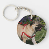 Mops, der rotes Geschirr trägt Schlüsselanhänger (Vorderseite)