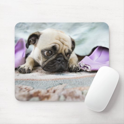Mops, der unschuldig aussieht, nachdem er den Zehn Mousepad (Mit Mouse)