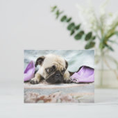 Mops, der unschuldig aussieht postkarte (Stehend Vorderseite)