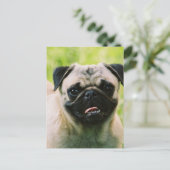 Mops-Diskettenlaufkarte Postkarte (Stehend Vorderseite)