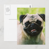 Mops-Diskettenlaufkarte Postkarte (Vorne/Hinten)