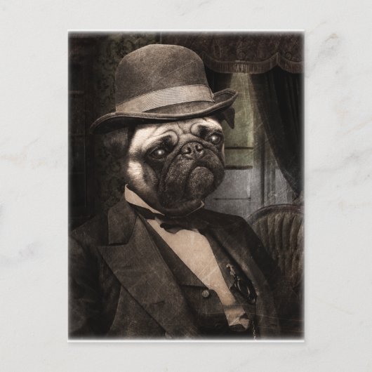 Mops Dog Dapper Gent Postkarte (Vorderseite)