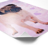 Mops Dog Fotodruck (Ecke)