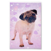 Mops Dog Fotodruck (Vorne)