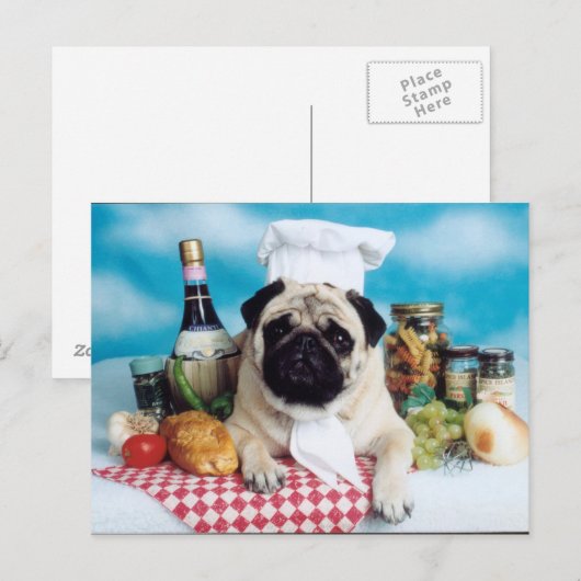 Mops Dog Koch Postkarte (Vorne/Hinten)