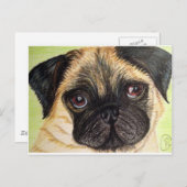 Mops Dog Postkarte (Vorne/Hinten)