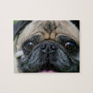 Mops Dog Puzzle
