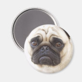 Mops Dog Round Magnet (Vorderseite/Rückseite)